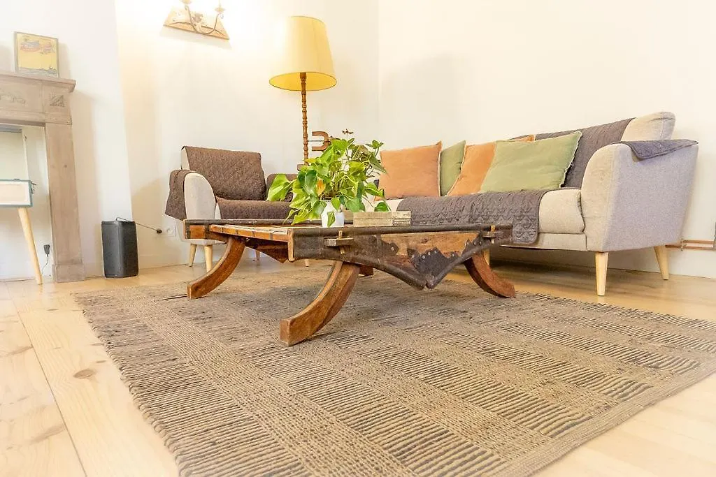 Au Pied Du Chateau, Gite Le Grand Fux Foix Apartment