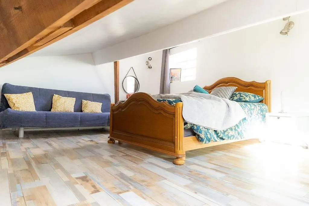 Apartment Au Pied Du Chateau, Gite Le Grand Fux Foix France
