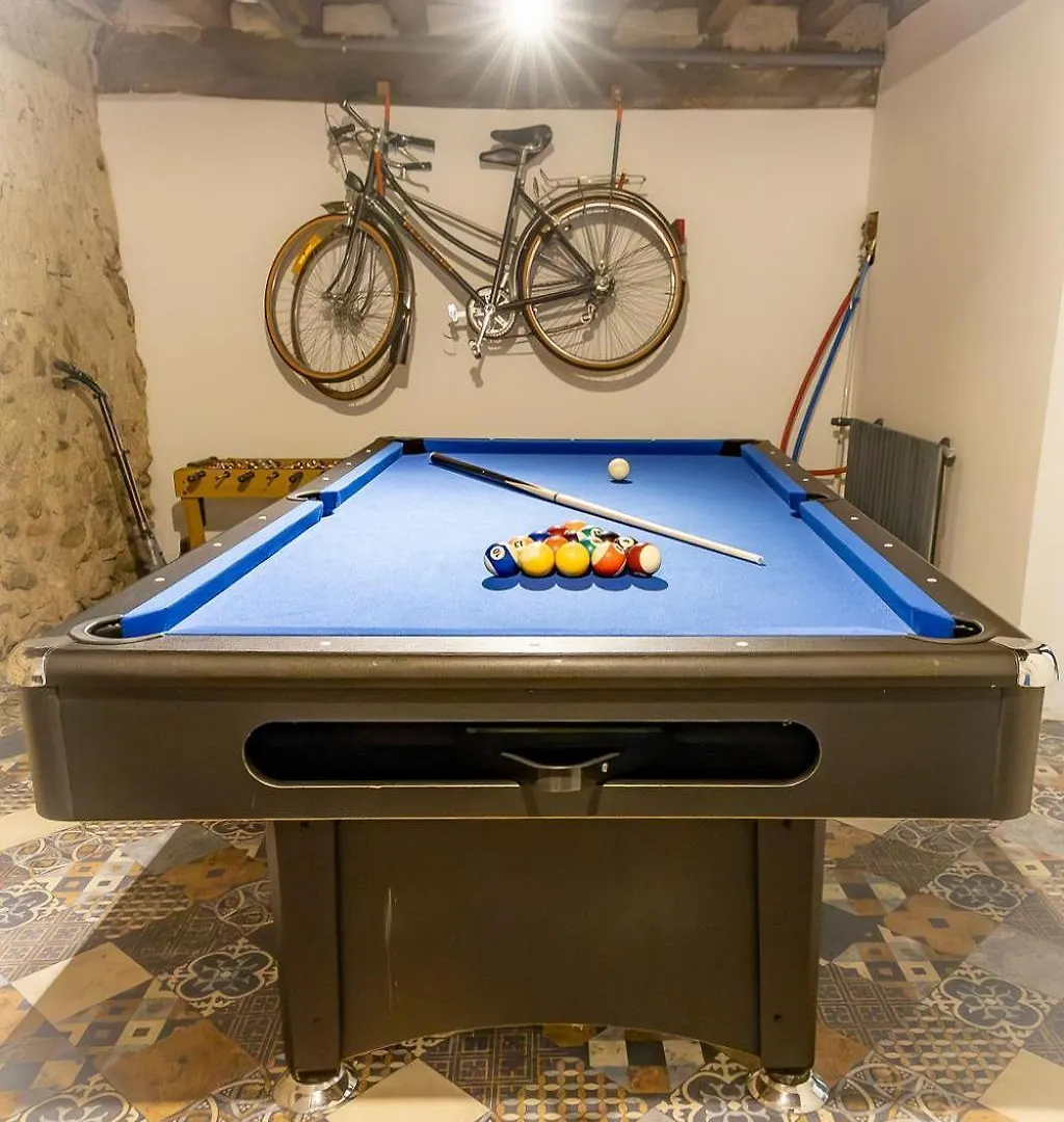 Au Pied Du Chateau, Gite Le Grand Fux Foix Apartment